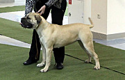 sISWBc5hxP4.jpg